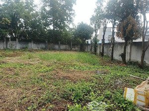 đất lớn mặt tiền lê tấn bê kinh vương 2285m2 full thổ vuông vức ngang 53m chỉ 105 tỷ tiện phân lô