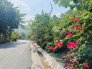 đất mặt tiền đường nhựa trục chính khánh thành cách thị trấn chỉ 3km