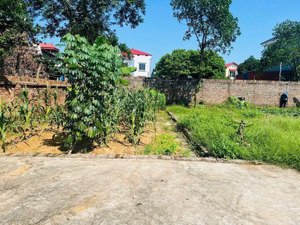 80m full thổ cư đan tảo tân minh sóc sơn hà nội đường trước đát rộng 5m cách đường 131 chỉ 150m