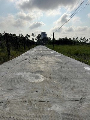 bán 1000m2 đất lúa có sẵn (6x25m2=150m2 thổ cư) đường đan 2.5m cách đường nhựa nguyễn thông 200m