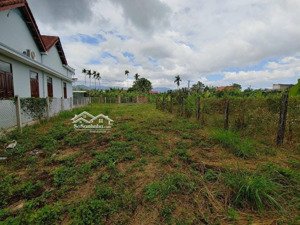 bán đất thôn xuân thọ xuân sơn | 108,6m² đất ở, ngang 4,3m, đường đất 3m giá 430 triệu