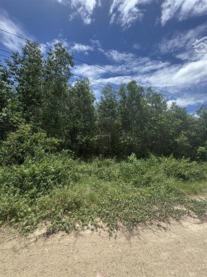 đất ở giá mềm xuân thọ, xuân sơn 117,9m², ngang 5m, đường đất 3m, chỉ 470 triệu