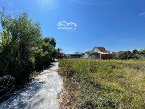 đất ở giá rẻ duy nhất ở thôn xuân thọ,xuân sơn | 104m²,ngang 4,2m,đường bêtông 4m giá 530 triệu