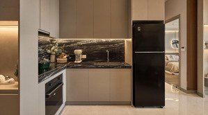 bán gấp căn hộ 2pn, 67m2 tại the emerald garden view, 2,41 tỷ