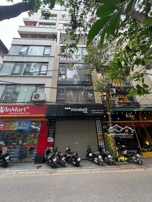 siêu phẩm mặt phố tạ quang bửu - kinh doanh đỉnh - dòng tiền khủng - 79m2 - 36.5 tỷ