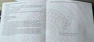 chính chủ cần bán 236 m2 khu đô thị 31ha - giá 145 tr/m2, lh 