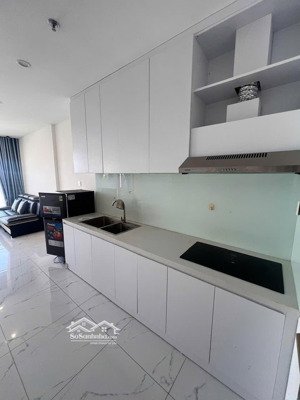 cho thuê căn 2 pn tòa bs8 full nội thất