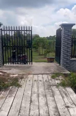 bán nhà vườn trái cây, ao cá tại xã hưng long, bình chánh, tp.hcm, 5,8 tỷ, 1000m2