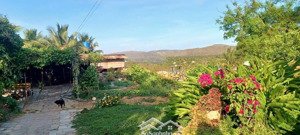 những lô đất đáng đầu tư nhất trục chính hồ quang cảnh, thiện nghiệp, lh: 