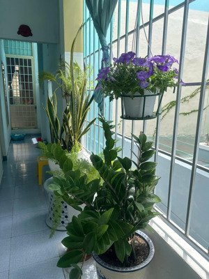 bán nhà mặt tiền đường 2/4 vĩnh phước nha trang trục kinh doanh sầm uất có dòng tiền hàng tháng