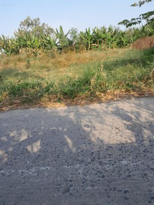 đất thanh nhung 2, phước trung, gò công đông, tiền giang. 7,5x36m 122m2 thổ, đường xe 7chỗ 380tr tl