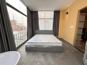 cho thuê căn hộ 1pn máy giặt riêng mới 100% q4 gần cầu ông lãnh, cầu calmette, cầu kênh tẻ