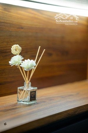 pentstudio tây hồ | lựa chọn hàng đầu cho chuyên gia nước ngoài