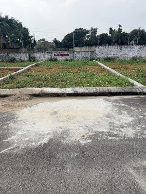 cần tiền bán nhanh tại đồng trạng - cổ đông