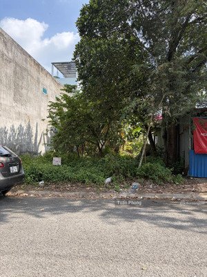 bán 2 nền đất sao mai p7- tp bến tre