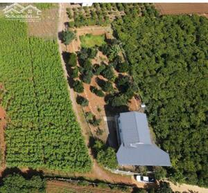 Bán căn nhà vườn 2 mặt tiền cực đẹp 1.667m2 ngay Gần sân bay Liên Khương, Gần Quốc Lộ 27