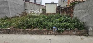 hoa hậu 56m2 đức hậu, thanh lâm nhỏ tiền - đường trục làng ô tô tránh, dừng, đỗ