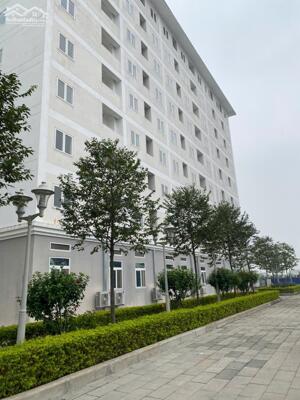  MUỐN MUA NHÀ Ở XÃ HỘI NHƯNG CHƯA RÕ HỒ SƠ?