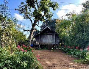 995tr sở hữu vườn đẹp view hồ trị an không khí mát mẻ quanh năm, sổ riêng