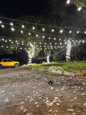 vườn đẹp view hồ trị an đảo ó, 1.006m², sổ riêng, ô tô tới đất, giá 995tr