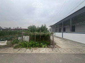 chính chủ cần bán 2 lô đất tại lâm cao tự cường tiên lãng chỉ từ 1ty460tr