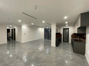 cho thuê căn hộ sunshine diamond river q7 165m2 gồm 3pn siêu rộng, siêu đẹp siêu hiện đại