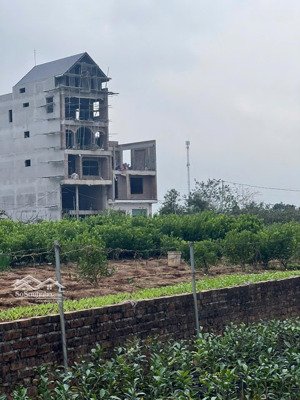 bán 76m2 đất vàng văn giang hưng yên - gần svđ bóng đá pvf, đh bách khoa chỉ 3,25 tỷ