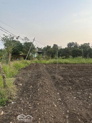 bán đất xuân tây 2000m2 có 100 ont