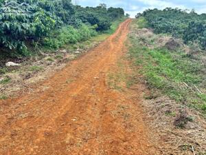 7x50m2 tổng 350m2 có sẳn 100m thổ giá 270tr tại Di Linh-Lâm Đồng