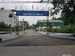 đấu giá lộc hà - xã mai lâm (cũ). đông anh- hà nội.gần cầu tứ liên - ga đường sắt cao tốc cổ loa