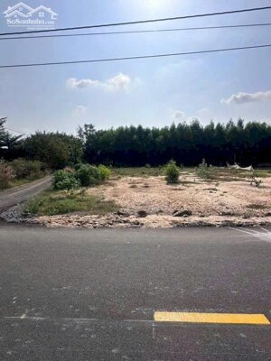  BÁN 2 LÔ ĐẤT GẦN BIỂN PHƯỚC HẢI – CÁCH BIỂN KHOẢNG 5KM 