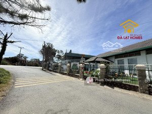 khu đất hơn 3 ha sổ hồng tư nhân, mặt tiền đường khe sanh đà lạt, view thung lũng xanh