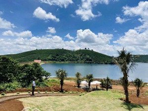 bán 50.000m2 đất rừng sản xuất sổ hồng riêng bán đến công chứng. view hồ