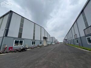 CHO THUÊ KHO XƯỞNG NGUYỄN VĂN LINH, BÌNH CHÁNH 2000M2 GIÁ RẺ 75TR- ĐƯỜNG CONT 24H