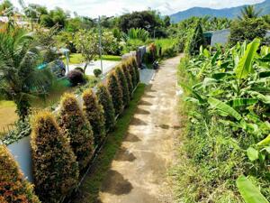 Bán đất Bình Lộc thôn Lương Phước full thổ cư đường thông ngay chợ Diên Bình đi thẳng vào