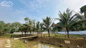 Bán Đất Nghỉ Dưỡng Sát Vách Sun Group – Cơ Hội Đầu Tư Sinh Lời Dài Hạn