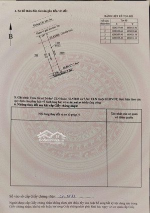đất mặt tiền cây me 150m² (530) bình nhâm | hàng hiếm