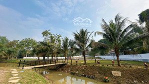 bán đất nghỉ dưỡng sát vách sun group, cơ hội đầu tư sinh lời dài hạn