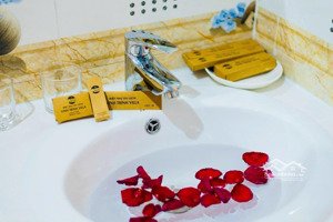 bán biệt thự 3 tầng, 8pn, 5wc tại đường 306 cửa đại, giá cực chất 28 tỷ, 283m2