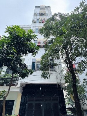 dòng tiền 40 triệu/tháng, 7 tầng khu man bồi gốc găng - phú lãm