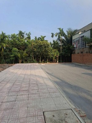 còn 2 lô đất tl39, an phú đông (q12 cũ) gần trường trần cao vân giá: 4.3 tỷ / lô - còn bớt