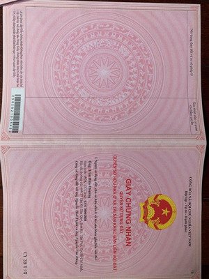 bán đất tại đường n4, xã long nguyên, huyện bàu bàng, bình dương, 12 tỷ, 10000 m2 đẹp,