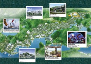 chính chủ bán liền kề 96 m² dự án cát bà amatina vị trí đẹp, pháp lý rõ ràng, chuẩn bị xây