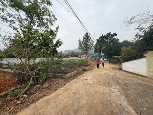 đất tản lĩnh-lô góc giáp cổng vườn quốc gia-gần hồ tiên sa, xung quanh là homestay-không khí mát mẻ