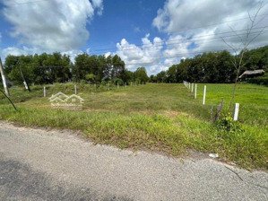 bán mặt tiền tl 822 hiệp hòa, đức hòa , tây ninh | full thổ gần kcn giá tốt