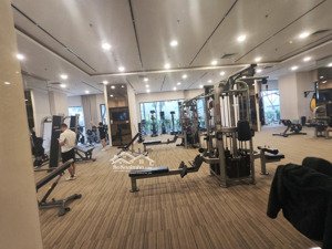 tôi chính chủ bán căn penthouse tòa mulberry lane , 500m ,bể bơi ,giá 35 tỷ.lh 