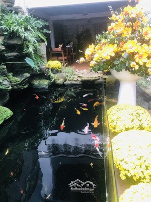 chủ hạ giá mạnh bán nhanh lô nại nam 8 sát tòa 69 tầng, chỉ 19,950 tỷ có ngay dt 118m2 ngang 6m.