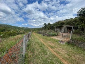 bán gấp đất vườn đẹp có sầu riêng, 2 mặt tiền đường 80m, giá rẻ, thích hợp nghỉ dưỡng đầu tư