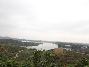 bán gấp trang trại đẹp tại xã quý sơn, 1,95 tỷ, 10.000 m2, đầy đủ tiện ích