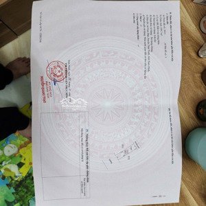 cần bán hoa hậu trực đạo trực ninh nam định, phân lô vỉa hè ô tô tránh, kd đỉnh. dt 109,7m.